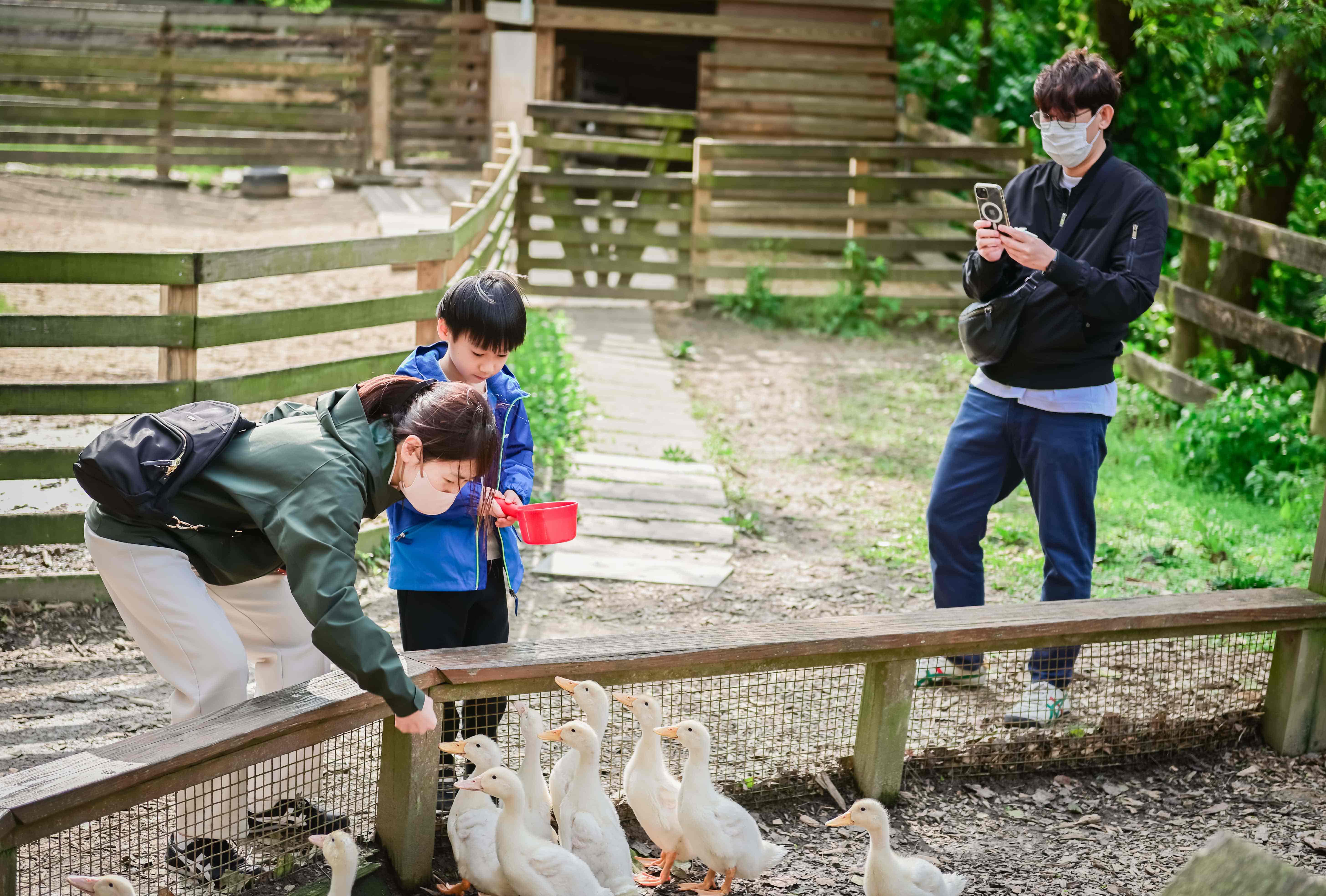 Round Taiwan Round experience photo 1