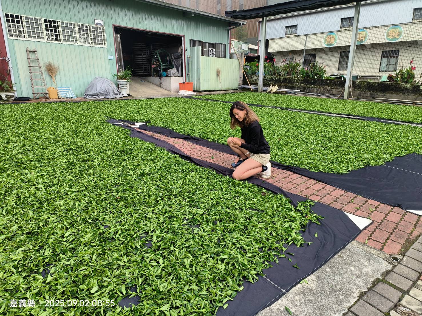 Round Taiwan Round experience photo 9